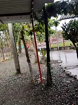 BeetledFlouter12 online show from 09-26-25, 07:07