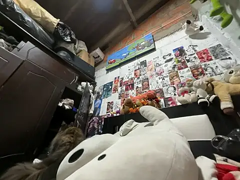 dafne19  online show from 02-26-26, 04:11