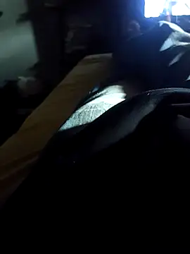 danilogarcia33 online show from 04-27-26, 04:05