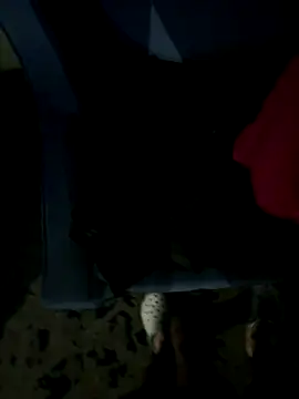 Snapshot of JosephAKenwood chatting on 12-02-25, 01:39 JosephAKenwood online show from 12-02-25, 01:39