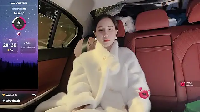 Snapshot of newwell chatting on 12-28-24, 01:17 newwell online show from 12-28-24, 01:17