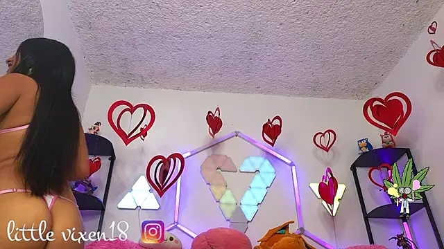 littlevixen18 online show from 02-25-26, 02:05