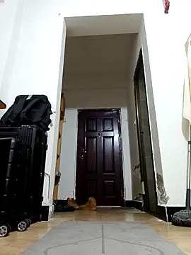 Snapshot of DDYY12341 chatting on 11-18-25, 11:58 DDYY12341 online show from 11-18-25, 11:58