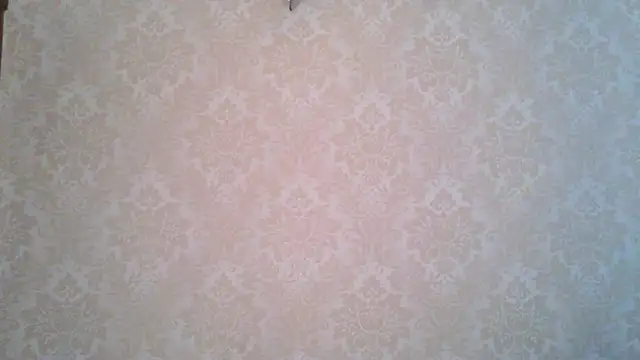 Kashtanka  online show from 11-04-25, 08:57