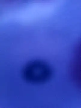 Snapshot of Mia_ross16 chatting on 03-09-25, 06:11 Mia ross16 online show from 03-09-25, 06:11