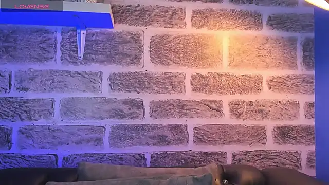 noah ricci online show from 10-14-25, 12:50