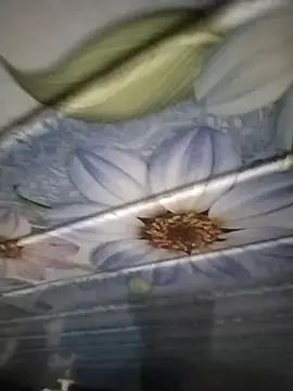 Snapshot of kunalmishra2003 chatting on 11-20-25, 11:48 kunalmishra2003 online show from 11-20-25, 11:48