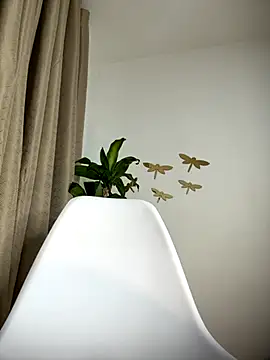 cuteluci  online show from 11-16-25, 11:43