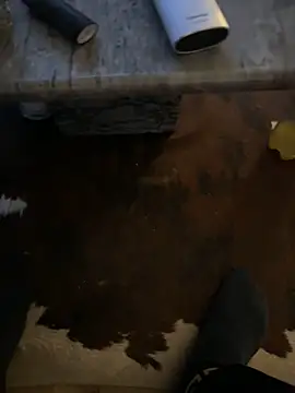 Snapshot of Tyson8897 chatting on 01-07-26, 07:55 Tyson8897 online show from 01-07-26, 07:55