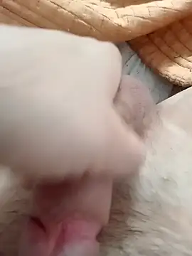 ionutiul online show from 03-14-25, 02:41