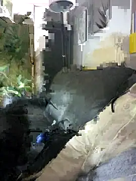 Snapshot of SweetMaddy888 chatting on 12-17-24, 06:31 SweetMaddy888 online show from 12-17-24, 06:31