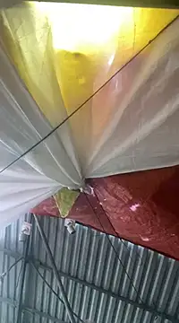 Cesywet online show from 02-07-25, 08:33