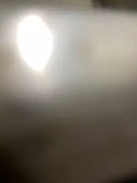 Cesywet online show from 02-23-25, 09:44