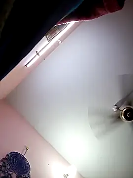 Tamil sreelekha online show from 02-13-25, 01:37