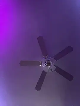 badbish777 online show from 03-03-25, 10:49