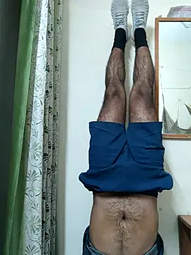 Wild-Honey online show from 03-01-25, 03:53