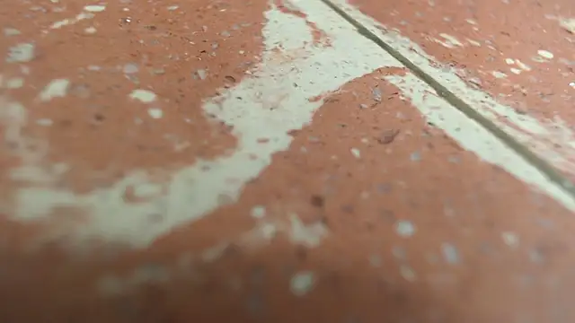 isabella jazz online show from 09-20-25, 03:24