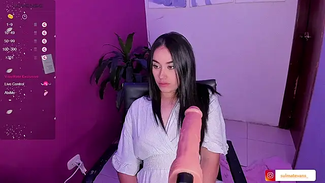  sulmatevans  online show from 01-23-25, 11:37