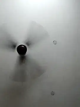 Snapshot of cutiecatty21 chatting on 10-23-25, 10:36 cutiecatty21 online show from 10-23-25, 10:36