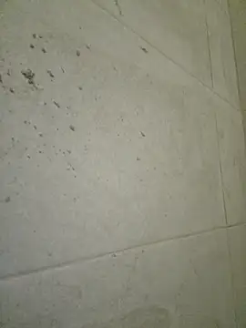 seloloko20 online show from 09-19-25, 06:59