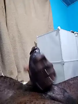 Dick undisputed online show from 01-07-25, 01:17