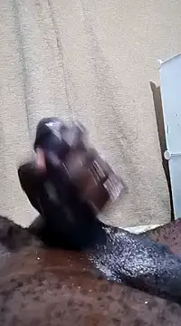 Dick undisputed online show from 01-13-25, 12:19