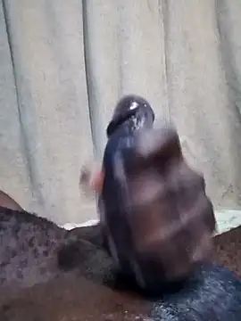 Dick undisputed online show from 01-17-25, 08:13