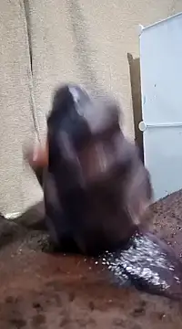 Dick undisputed online show from 01-17-25, 12:10