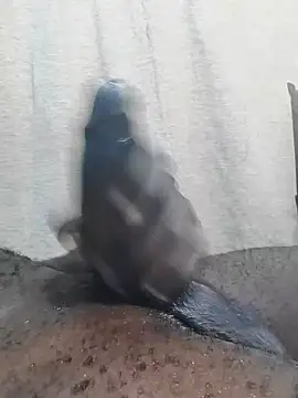 Dick undisputed online show from 02-23-25, 12:16