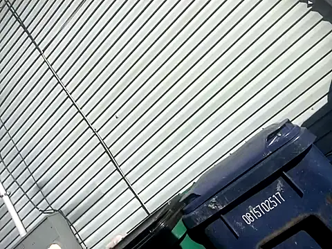 Chico Bellaco online show from 10-06-25, 02:14