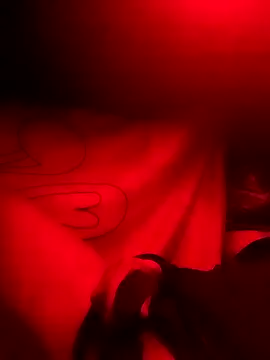 rayhot69 online show from 12-23-24, 03:50