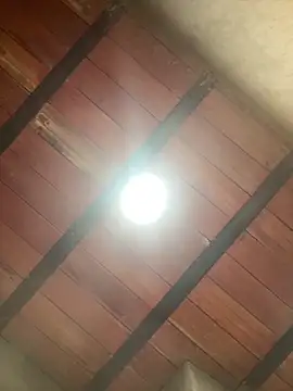 Snapshot of MollySanders___ chatting on 12-13-25, 10:59 MollySanders online show from 12-13-25, 10:59