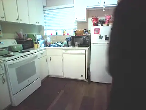 Snapshot of Big-Tits-McGee chatting on 02-04-25, 04:29 Big-Tits-McGee online show from 02-04-25, 04:29