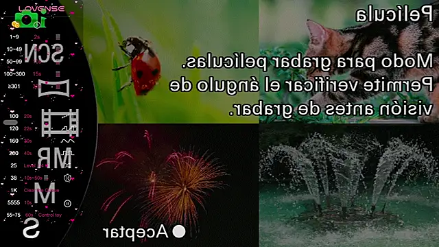 milly kenner online show from 12-11-24, 04:53