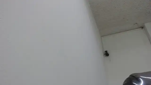 Snapshot of sexy_lady_0 chatting on 02-13-25, 08:34 sexy lady 0 online show from 02-13-25, 08:34