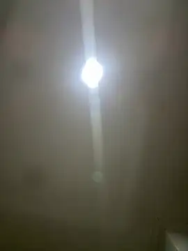 pawmistry online show from 03-05-26, 03:57