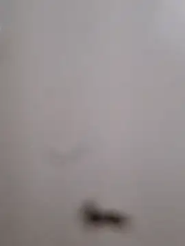 Snapshot of BriannaVincent chatting on 09-13-25, 04:01 BriannaVincent online show from 09-13-25, 04:01