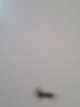 Snapshot of BriannaVincent chatting on 10-29-25, 04:26 BriannaVincent online show from 10-29-25, 04:26