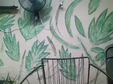 Snapshot of friendsloversex chatting on 03-21-25, 05:02 friendsloversex online show from 03-21-25, 05:02