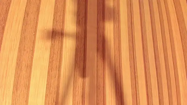 Snapshot of Daisy__rose chatting on 02-22-25, 11:02 Daisy rose online show from 02-22-25, 11:02