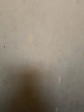 Snapshot of loveme99004 chatting on 02-16-26, 02:29 loveme99004 online show from 02-16-26, 02:29