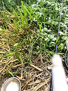 Snapshot of huzi518 chatting on 09-27-25, 03:33 huzi518 online show from 09-27-25, 03:33