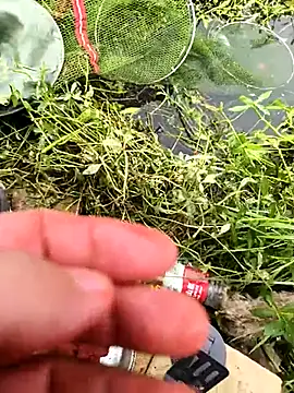 Snapshot of huzi518 chatting on 10-25-25, 03:36 huzi518 online show from 10-25-25, 03:36