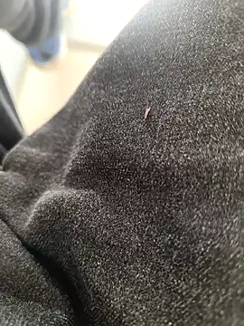 Snapshot of huzi518 chatting on 11-03-25, 03:30 huzi518 online show from 11-03-25, 03:30