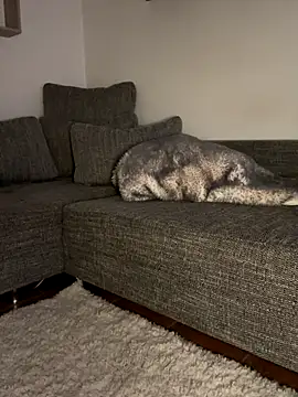 Snapshot of godspot_ chatting on 10-30-25, 08:20 godspot  online show from 10-30-25, 08:20