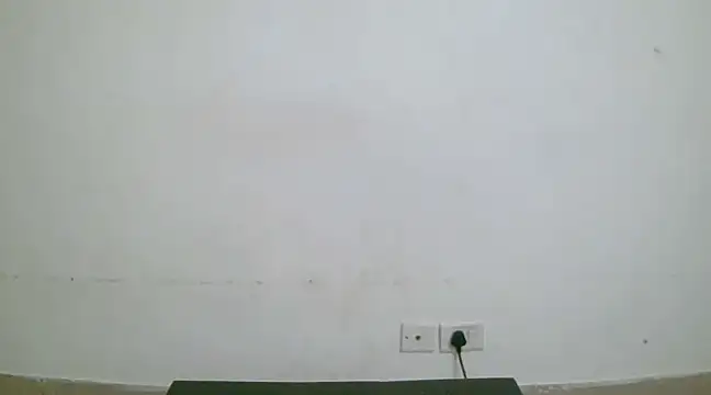 collage hoty online show from 01-19-25, 10:39