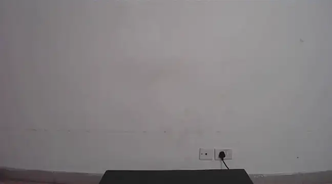 collage hoty online show from 02-22-25, 10:52