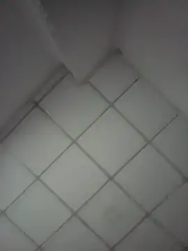 Blue Zone Sl online show from 04-27-26, 02:48