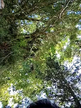 giselxxx hot online show from 03-12-25, 02:34