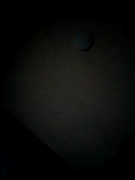 minitranca online show from 02-12-26, 10:05